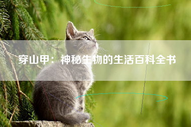 穿山甲：神秘生物的生活百科全书