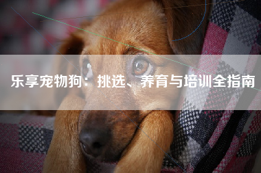 乐享宠物狗：挑选、养育与培训全指南