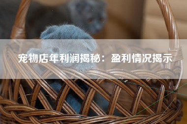 宠物店年利润揭秘：盈利情况揭示