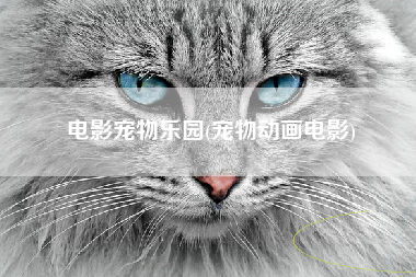 电影宠物乐园(宠物动画电影)
