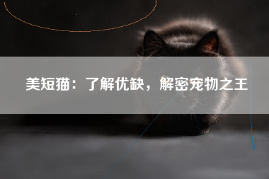 美短猫：了解优缺，解密宠物之王