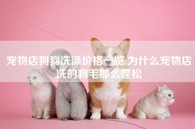 宠物店狗狗洗澡价格一览;为什么宠物店洗的狗毛那么蓬松