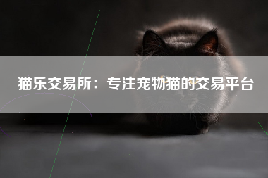 猫乐交易所：专注宠物猫的交易平台
