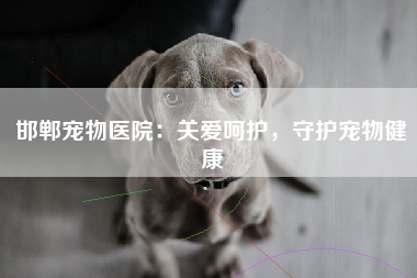 邯郸宠物医院：关爱呵护，守护宠物健康
