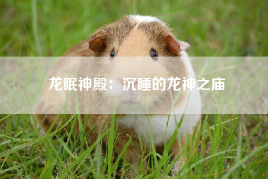 龙眠神殿：沉睡的龙神之庙