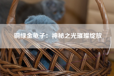 铜绿金龟子：神秘之光璀璨绽放