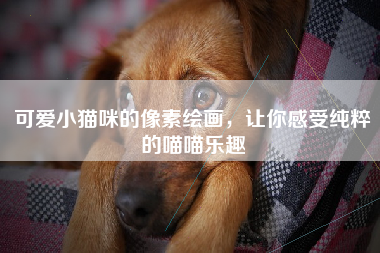 可爱小猫咪的像素绘画，让你感受纯粹的喵喵乐趣