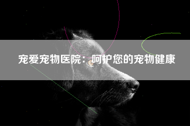 宠爱宠物医院：呵护您的宠物健康