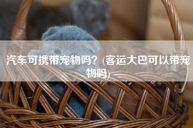 汽车可携带宠物吗？(客运大巴可以带宠物吗)