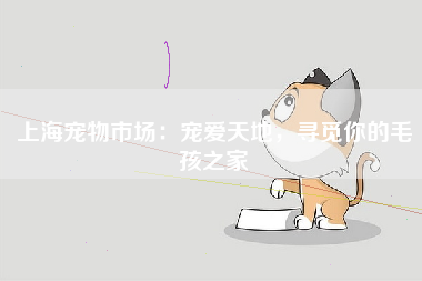 上海宠物市场：宠爱天地，寻觅你的毛孩之家