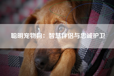 聪明宠物狗：智慧伴侣与忠诚护卫