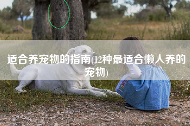 适合养宠物的指南(12种最适合懒人养的宠物)