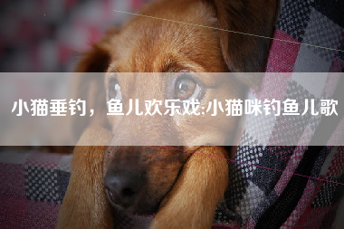 小猫垂钓，鱼儿欢乐戏;小猫咪钓鱼儿歌