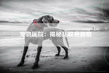宠物医院：揭秘乱收费真相