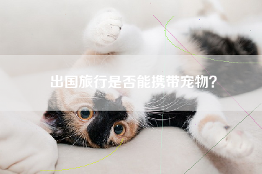 出国旅行是否能携带宠物？