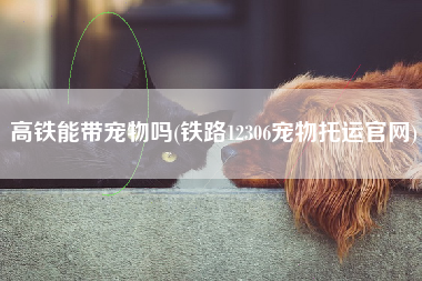 高铁能带宠物吗(铁路12306宠物托运官网)