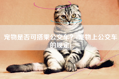 宠物是否可搭乘公交车？(宠物上公交车的规定)