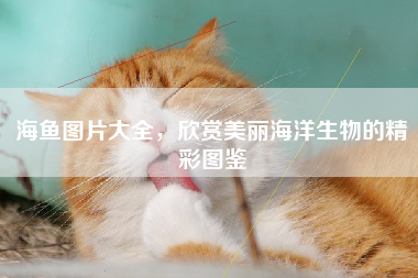 海鱼图片大全，欣赏美丽海洋生物的精彩图鉴