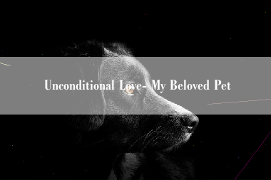 Unconditional Love- My Beloved Pet