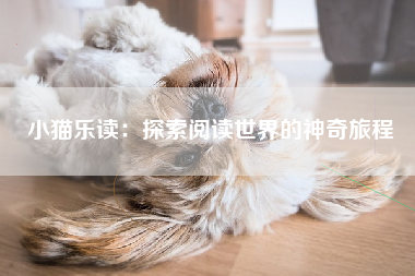 小猫乐读：探索阅读世界的神奇旅程