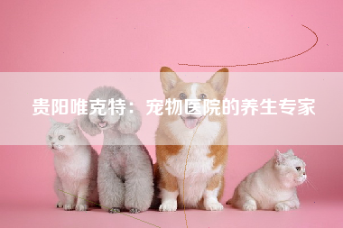 贵阳唯克特：宠物医院的养生专家
