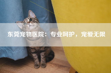 东莞宠物医院：专业呵护，宠爱无限
