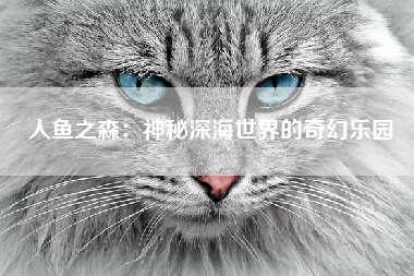 人鱼之森：神秘深海世界的奇幻乐园