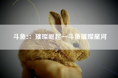 斗鱼2：璀璨崛起—斗鱼璀璨星河