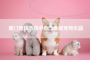厦门宠物市场中心：全城宠物乐园