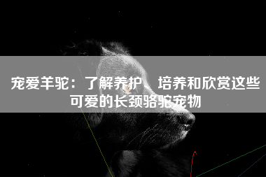 宠爱羊驼：了解养护、培养和欣赏这些可爱的长颈骆驼宠物