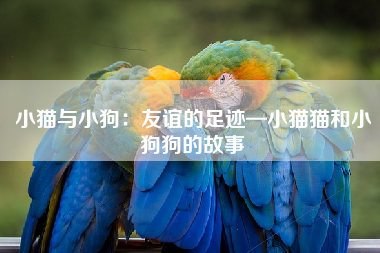 小猫与小狗：友谊的足迹—小猫猫和小狗狗的故事