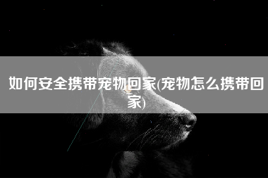 如何安全携带宠物回家(宠物怎么携带回家)