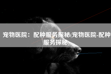 宠物医院：配种服务探秘(宠物医院-配种服务探秘)