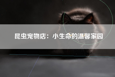 昆虫宠物店：小生命的温馨家园