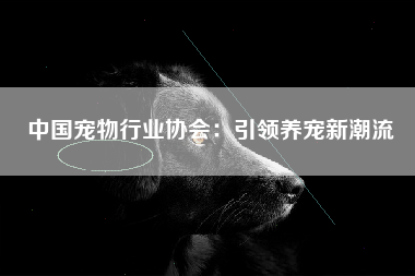 中国宠物行业协会：引领养宠新潮流
