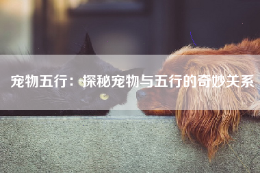 宠物五行：探秘宠物与五行的奇妙关系
