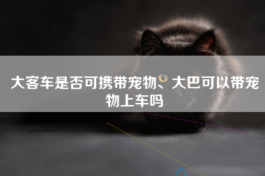 大客车是否可携带宠物、大巴可以带宠物上车吗