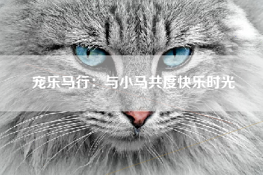 宠乐马行：与小马共度快乐时光