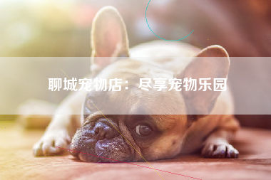 聊城宠物店：尽享宠物乐园