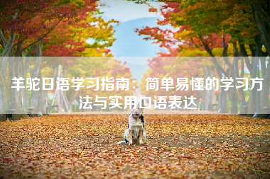 羊驼日语学习指南：简单易懂的学习方法与实用口语表达