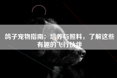鸽子宠物指南：培养与照料，了解这些有趣的飞行伙伴