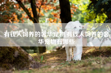 有钱人饲养的奢华宠物,有钱人饲养的奢华宠物有哪些