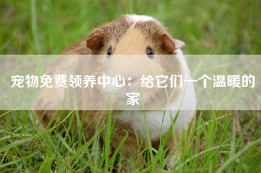 宠物免费领养中心：给它们一个温暖的家