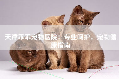 天津乖乖宠物医院：专业呵护，宠物健康指南