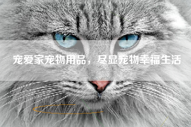宠爱家宠物用品，尽显宠物幸福生活