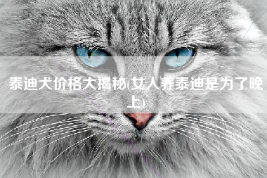 泰迪犬价格大揭秘(女人养泰迪是为了晚上)