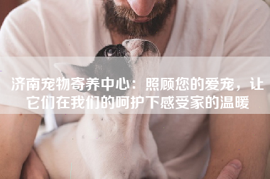 济南宠物寄养中心：照顾您的爱宠，让它们在我们的呵护下感受家的温暖
