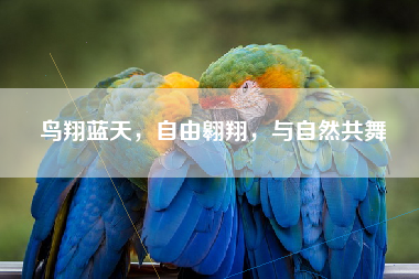 鸟翔蓝天，自由翱翔，与自然共舞
