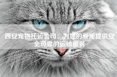西安宠物托运公司：为您的爱宠提供安全可靠的运输服务