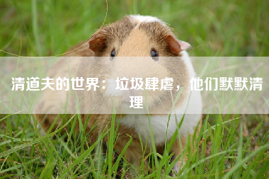 清道夫的世界：垃圾肆虐，他们默默清理